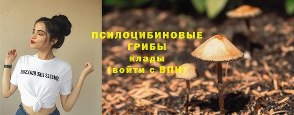 прущая мука Каменск-Шахтинский