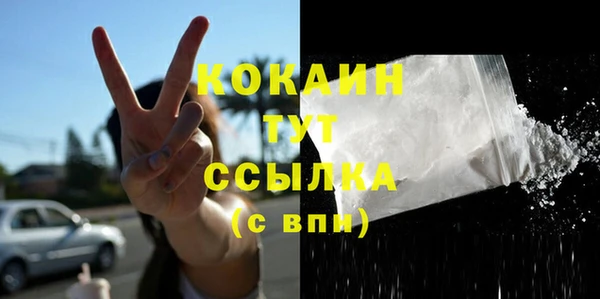 прущая мука Каменка