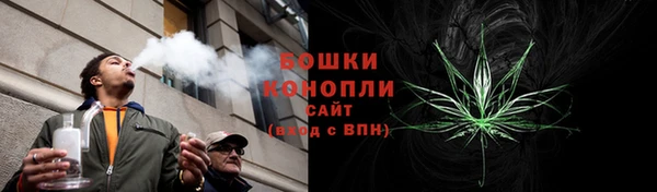 гидра Карпинск