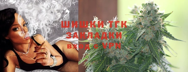 шишки Мурманск