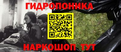 гидра Гусев