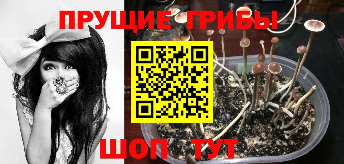 Галлюциногенные грибы мухоморы  Вход с VPN  закладки  Кумертау  Псилоцибиновые грибы Magic Shrooms 